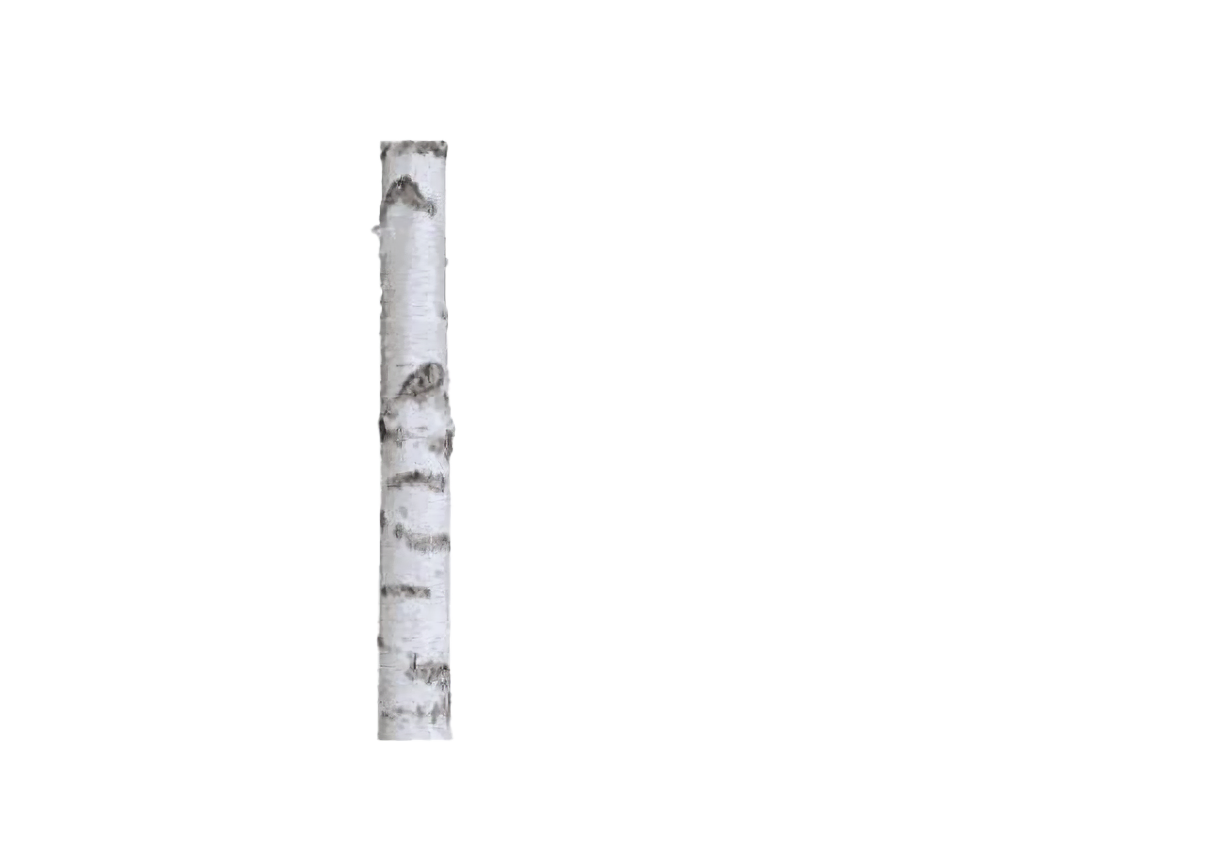 Birk Mat & Sällskap i Öland logotyp