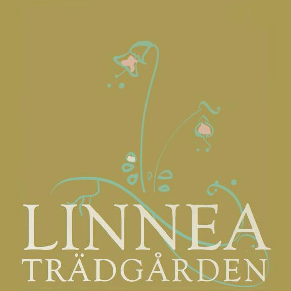 Linneaträdgården i Helsingborg lunchmeny