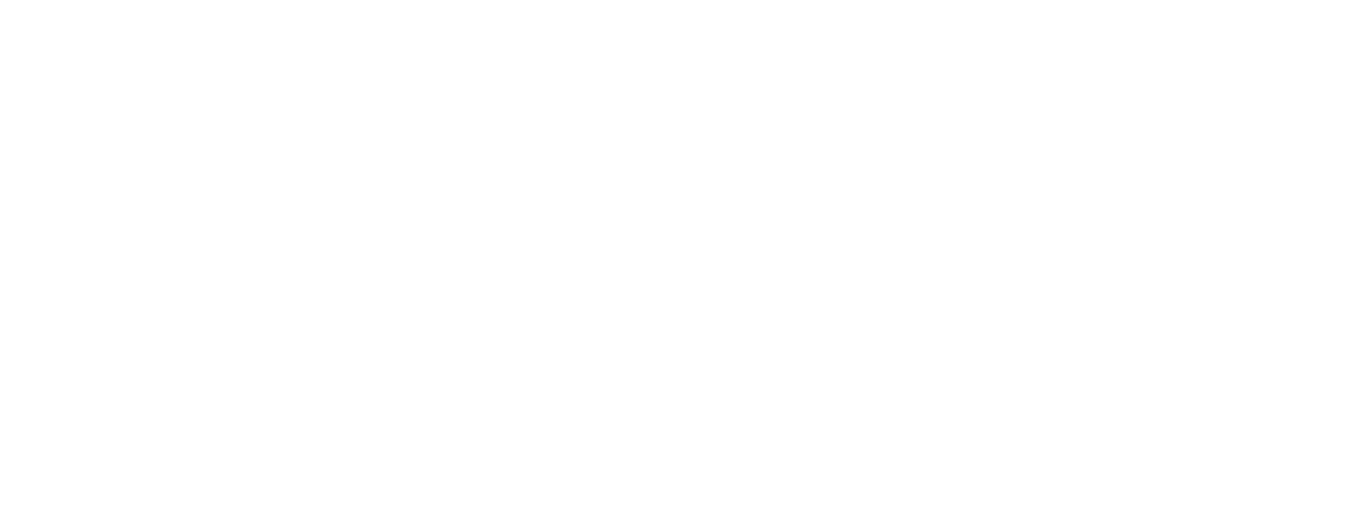 M/S Bränna i Boden logotyp