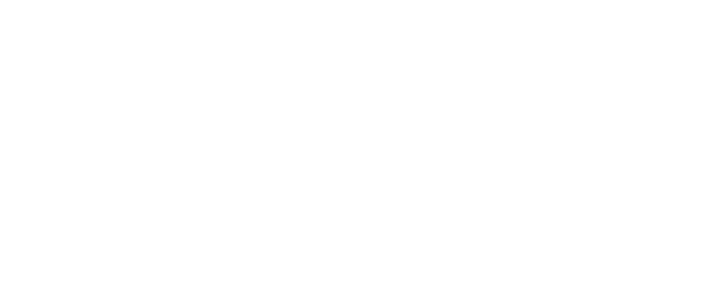 Viskan Café Bistro Bar i Borås logotyp